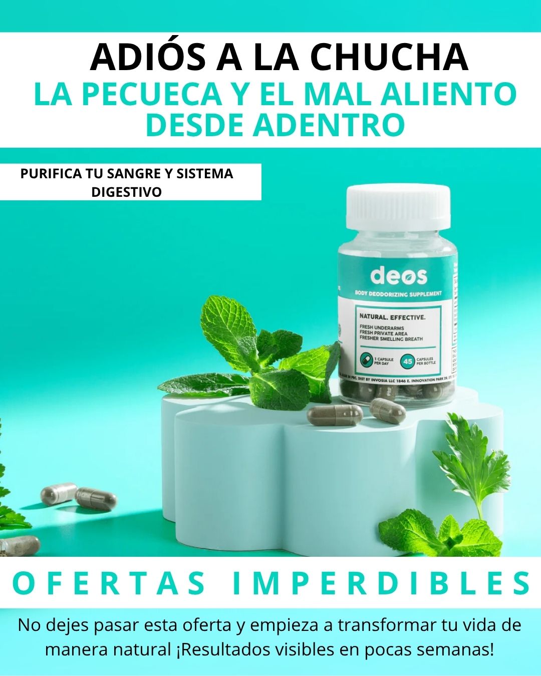 DEOS - ELIMINA OLORES INTERNOS + APOYA LA SALUD INTESTINAL Y CUTÁNEA