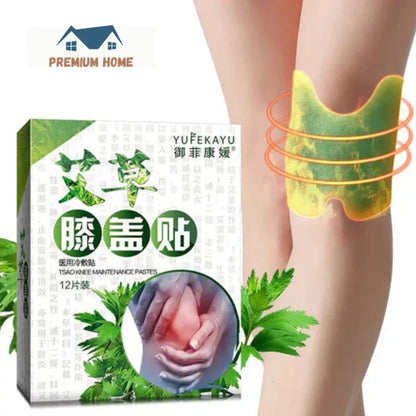 🍀PARCHES REMOVEDOR DE DOLOR DE RODILLAS Y ESPALDA X10 UNIDADES. 🌱🌿