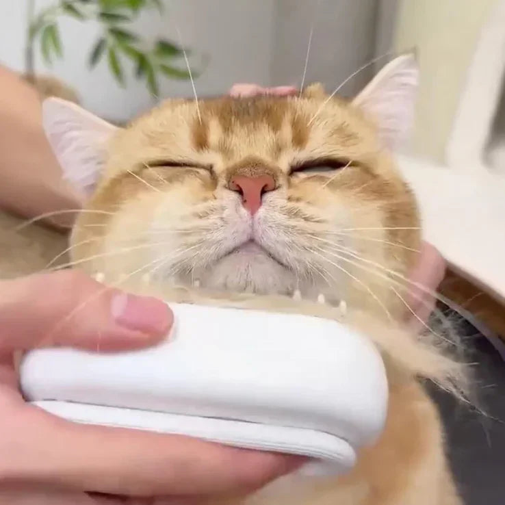 CEPILLO A VAPOR PARA MASCOTAS